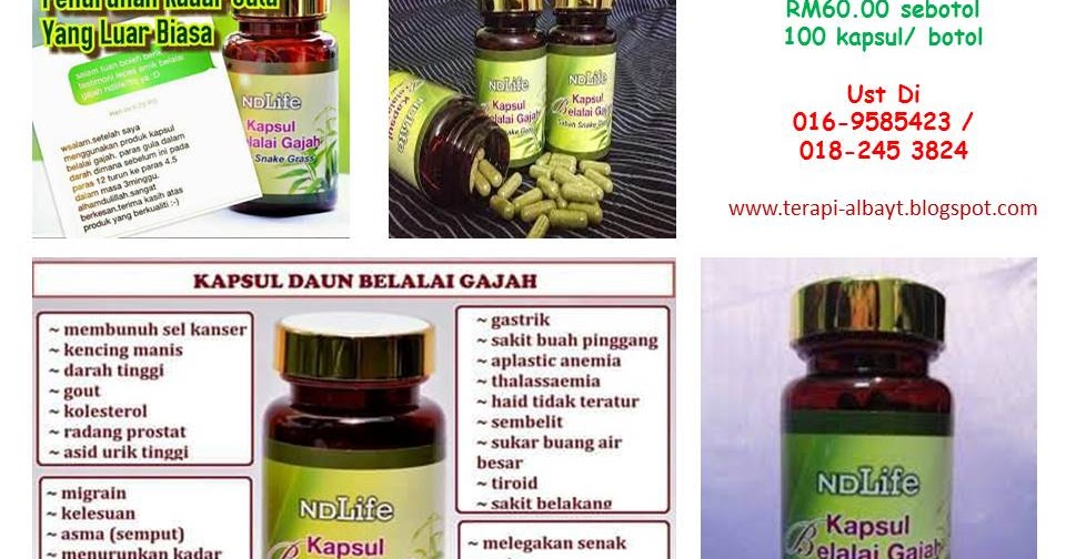 KAPSUL BELALAI GAJAH ~ Pusat Homeopathy dan Naturopati al 