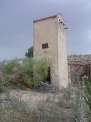 Imagen310