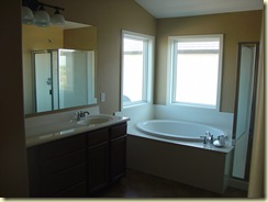 Master Bath 2