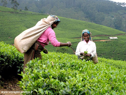 sri lankan people pictures. Sri Lanka -Beautiful Sri Lanka