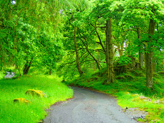 Drive to Watenlath Lake District England Great Britain