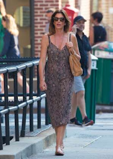 cindy crawford snake print dress by FRAME in New York City