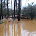   SAN CRISTÓBAL 7 Rancho Nuevo inundado