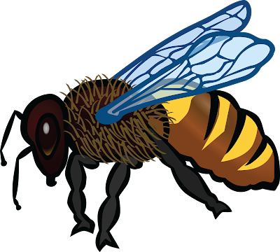 bee honey clipart 