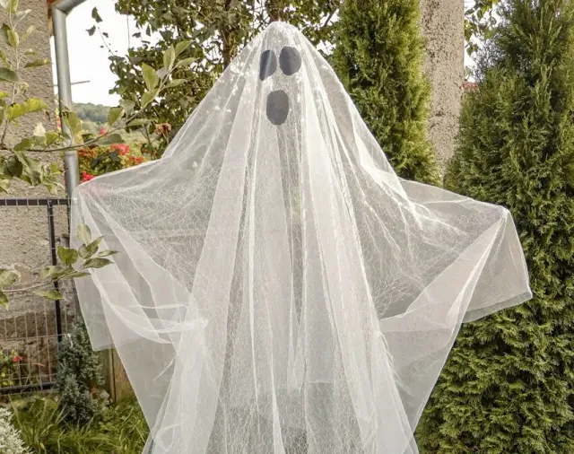 chicken wire ghost