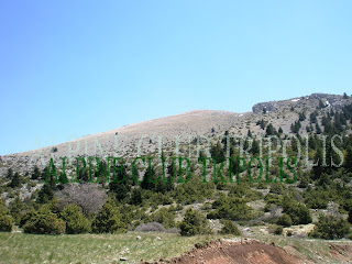 ΟΣΤΡΑΚΙΝΑ 1981m.