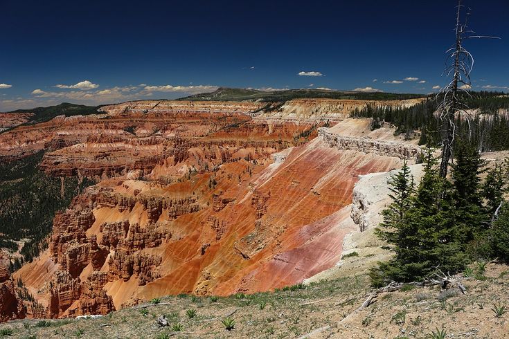 Cedar Breaks National Monument, Utah