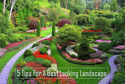 5 Tips for A Best Looking Landscape