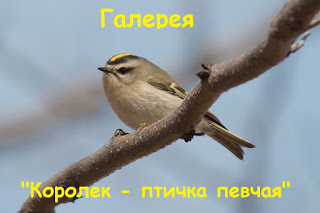работает с 1 марта до 1 октября 2020 года