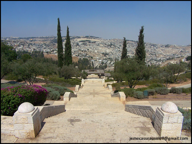 Jardin à Jérusalem ( Hashalom Forest )