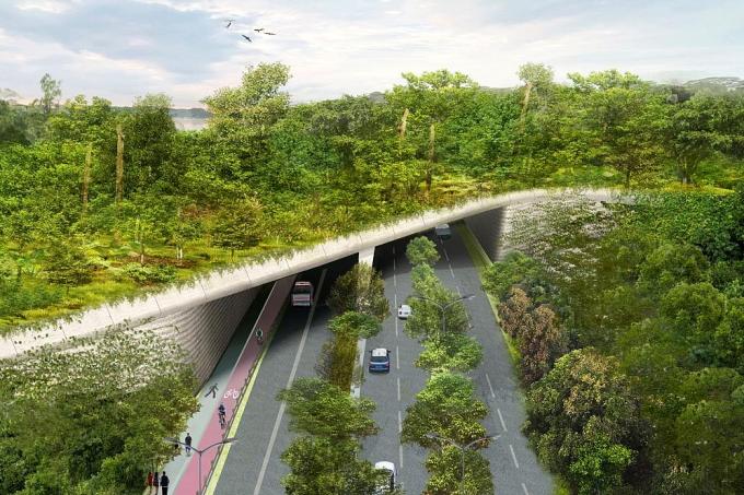 New Mandai wildlife crossing to be up by 2019, posted on Thursday, 27 July 2017