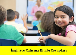 5. Sınıf İngilizce Lider Yayınları Çalışma Kitabı Cevapları