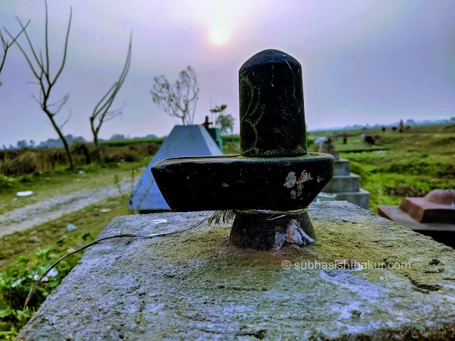 Paglakhali