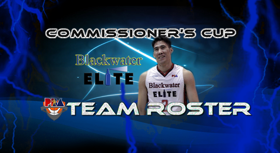 List of Blackwater Elite Roster (Lineup) 2017 PBA Commissioner's Cup