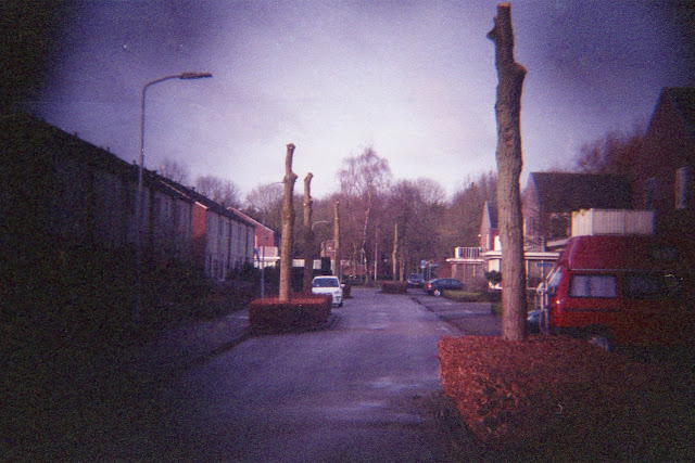 Groenbeheer volgens de gemeente Zevenaar. Foto: Robert van der Kroft