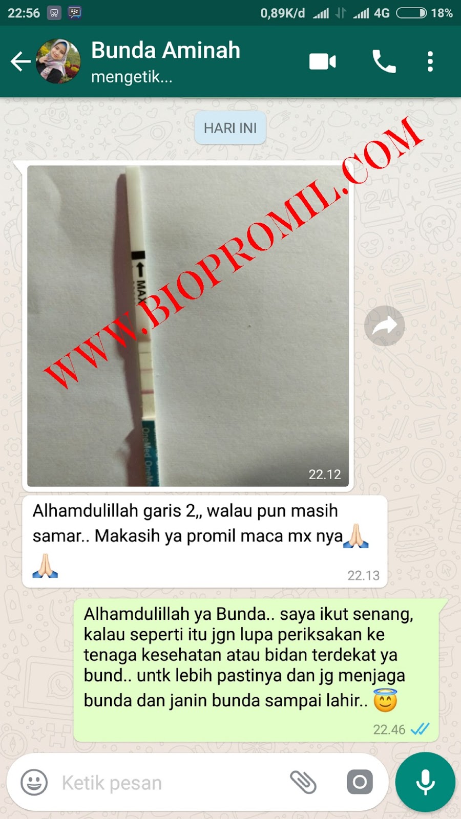 Testimoni Promil Bee - Promil Holistic - WEBSITE RESMI 