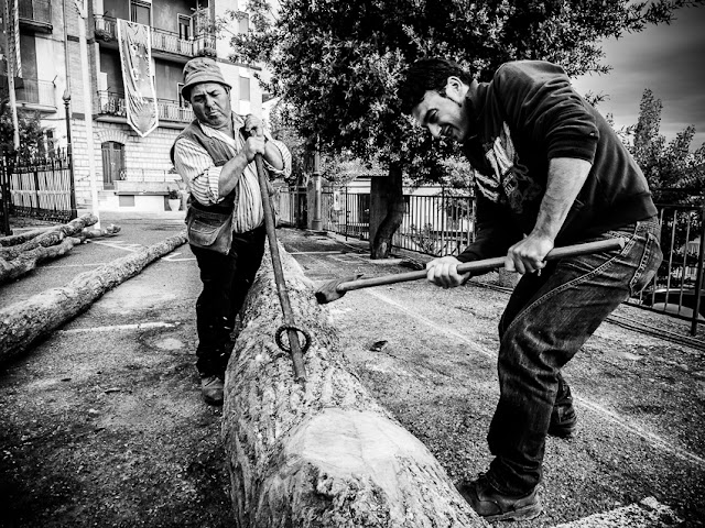 Riti arborei della Basilicata, zeppole del maggio di accettura, intervista ad andrea semplici, la comunità intorno all'Albero dei riti arborei lucani