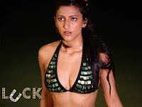 Shruthi Haasan and Imran Khan in Luck - Go4Bolly