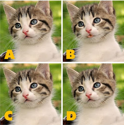 Which image is different? image 12