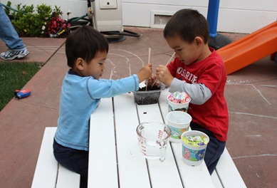 2010-06-09_001