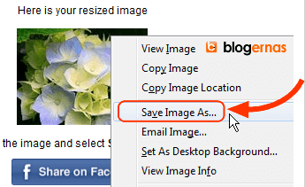 Crop Foto secara Online di Situs ImageResize