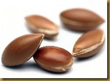 sem-argan