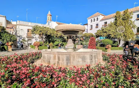 Plaza del Flores