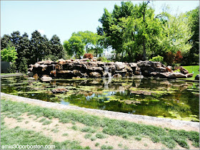 Dallas Arboretum & Botanical Garden: Nancy Rutchik Red Maple Rill