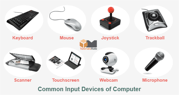 Input Devices of Computer