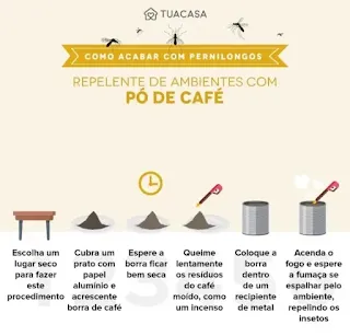 Como Acabar com Mosquitos e Pernilongos usando Ingredientes que você Tem em Casa