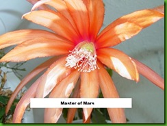 Epi Master of Mars