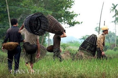 Quảng Ngãi Mang lưới vác nơm ra đồng kiếm cơm trong mùa lũ