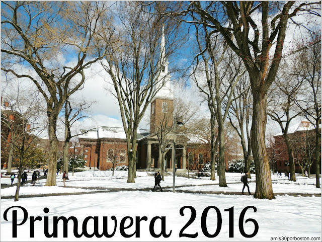 Primavera Universidad Harvard 2016