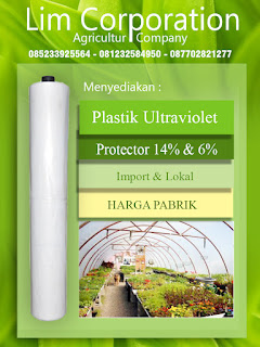 jual plastik uv di semarang,jual plastik uv di solo,jual plastik uv di surabaya,jual plastik uv roll,jual plastik uv bandung,jual plastik uv jakarta,jual plastik uv sidoarjo,jual plastik uv surabaya,jual plastik uv yogyakarta,jual plastik uv greenhouse