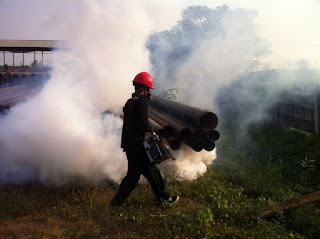 Fogging Nyamuk DBD Karawang 