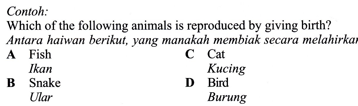 Science Is Easy: Teknik Menjawab