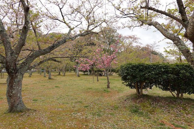 鳥取県米子市久米町　湊山公園　カンザン (関山）