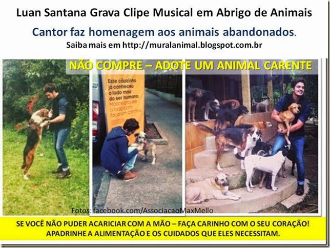 LUAN-ANIMAIS