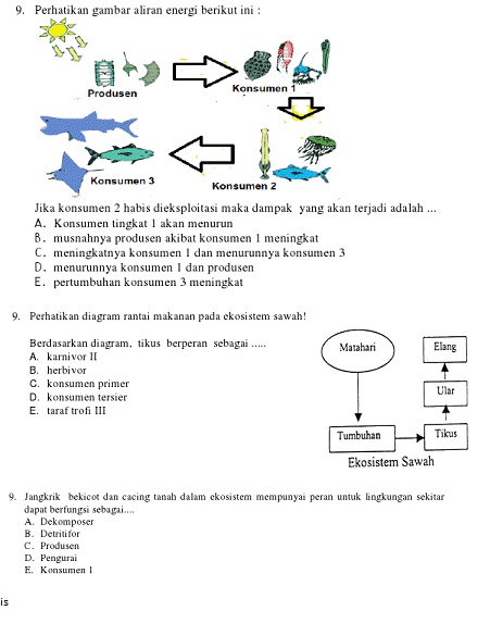  BIOLOGI  GONZAGA  PREDIKSI BIOLOGI  UN 2013 IMAGE