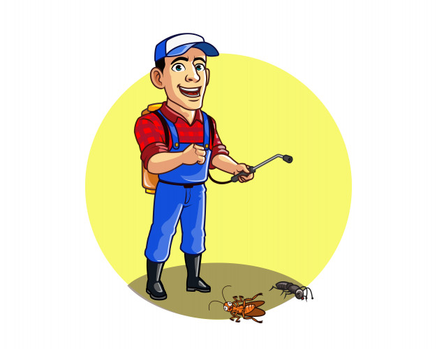 Reasons to Hire Professional Ant Control Services