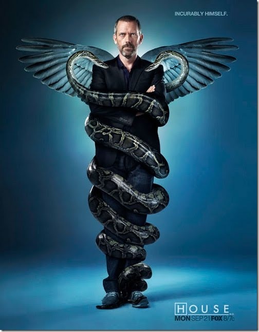 house-amorsis