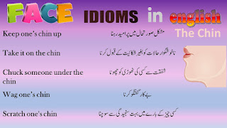 Daily Use English Idioms about Face | Face Englis Idioms | Face Idioms 3