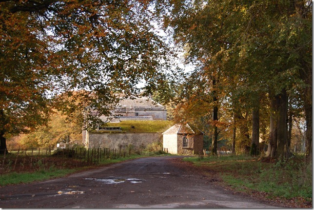 Balligara 010