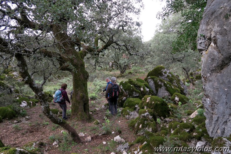 Sierra de los Pinos por las Pulgas