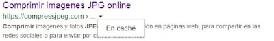 ver la caché de la página web