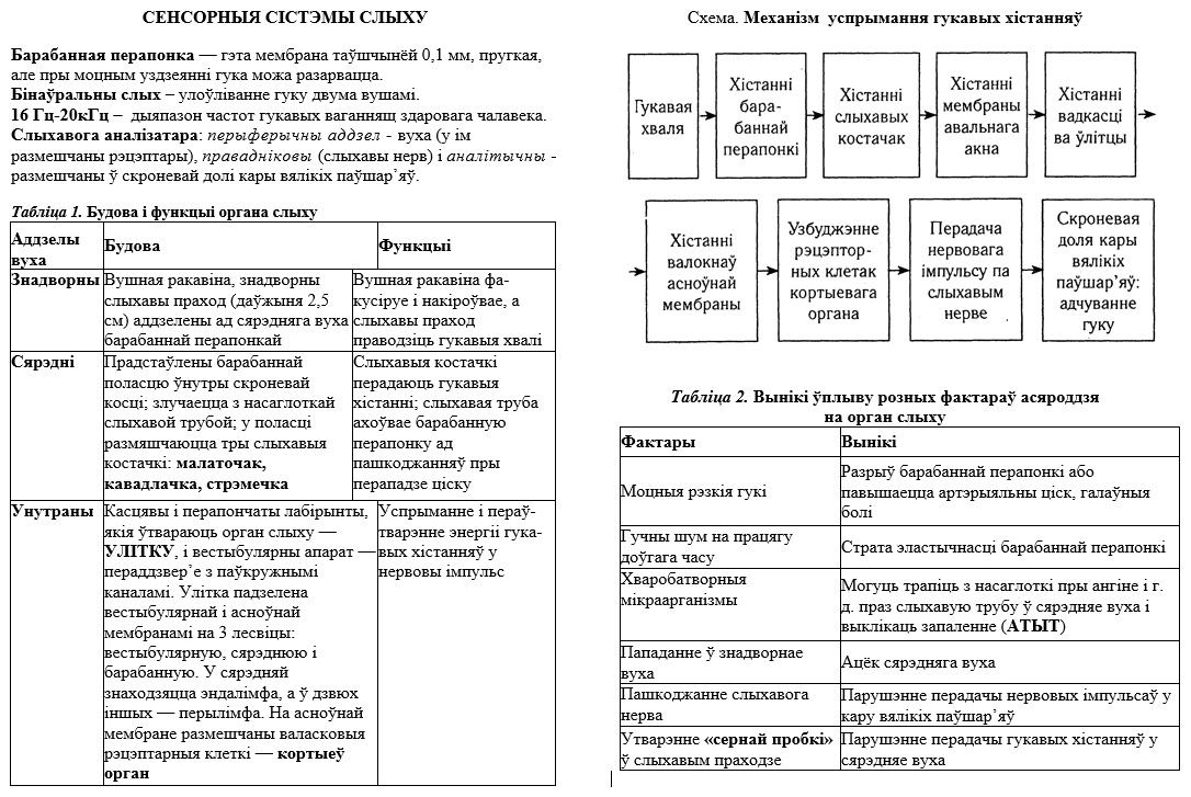 СЛЫХАВАЯ  СЕНСОРНАЯ  СІСТЭМА