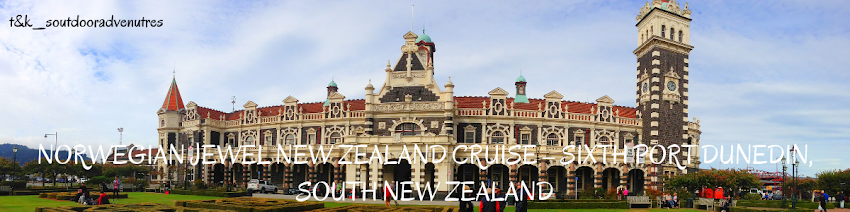 Norwegian Jewel New Zealand Cruise Sixth Port  Dunedin