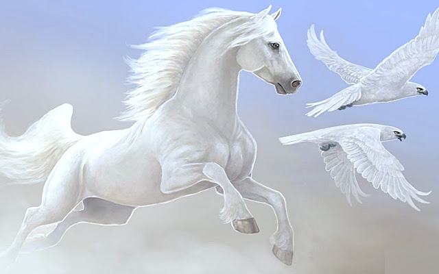 Best Horse Wid Flying Birds Wallpaper