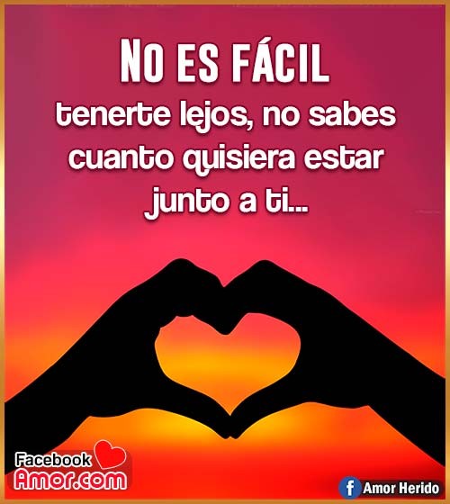 imágenes de amor con frases