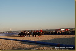 30-DSC_8113